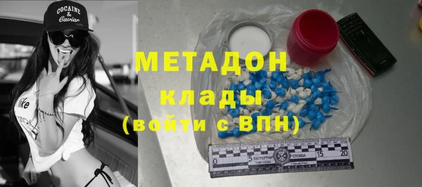 прущие грибы Надым