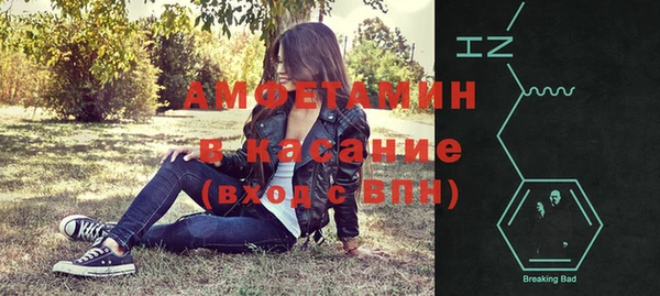 прущие грибы Тутаев
