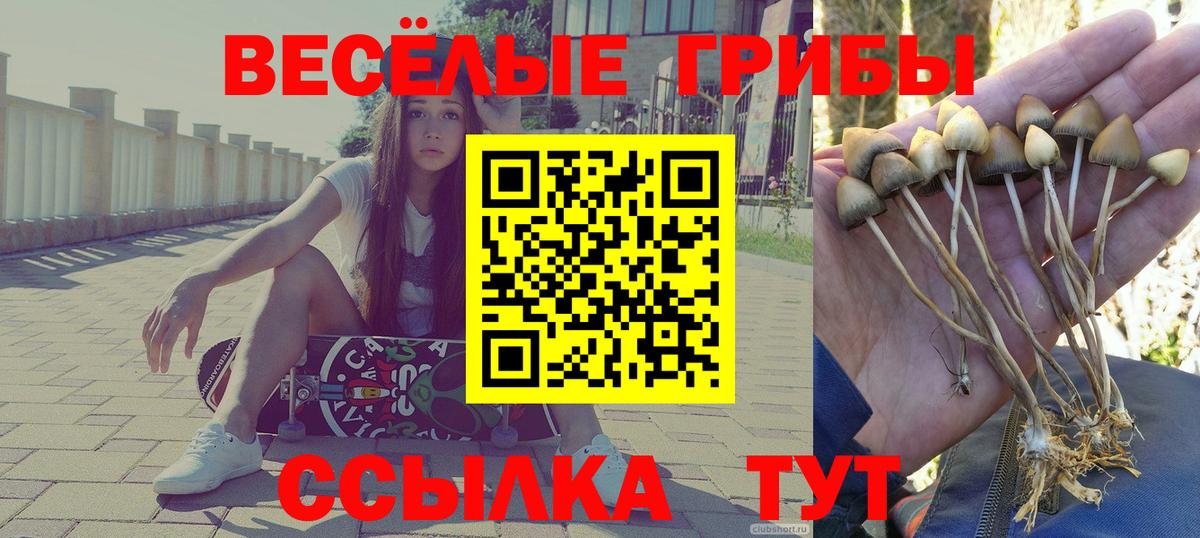 Псилоцибиновые грибы прущие грибы Гусь-Хрустальный