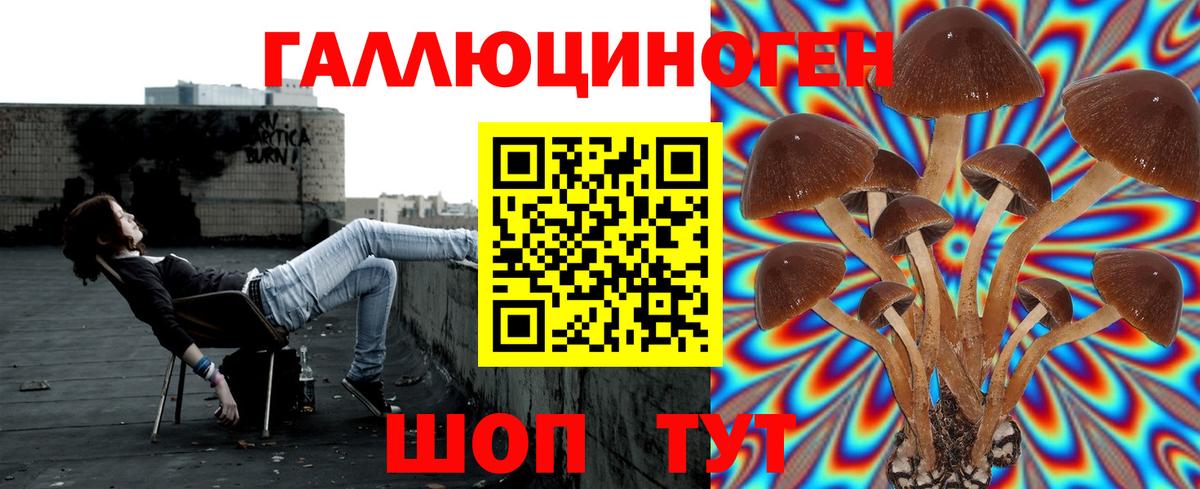 Псилоцибиновые грибы Psilocybe  где найти наркотики  Гусь-Хрустальный  Вход с VPN 